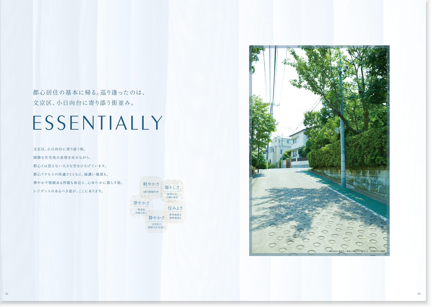 pamplet2